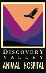 Discovery Valley Animal Hospital